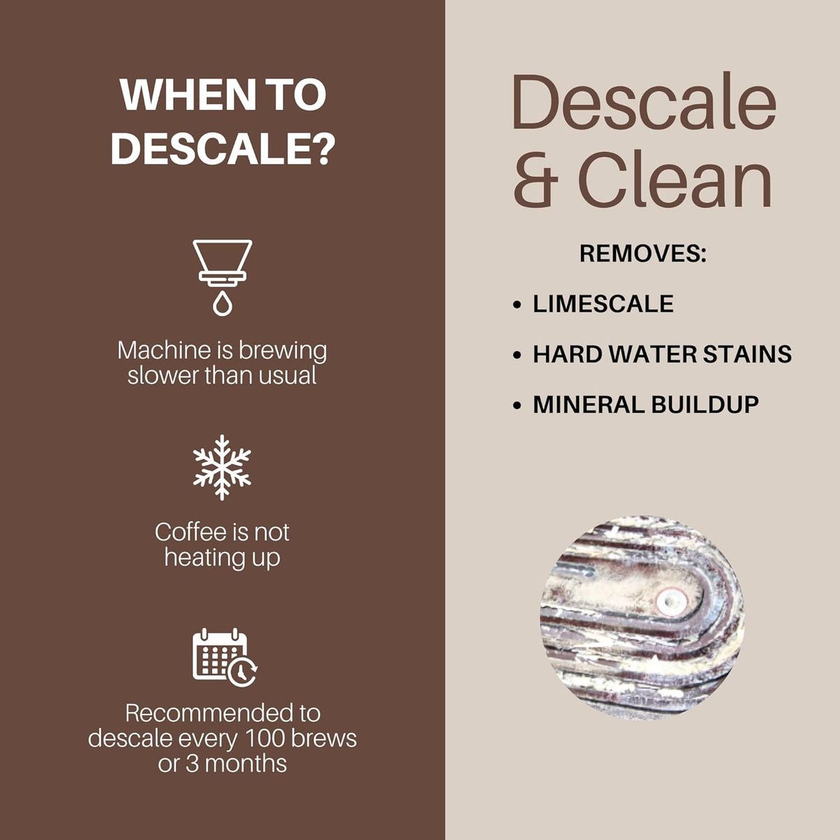 The Descaler-12 Month Supply (4 packs)